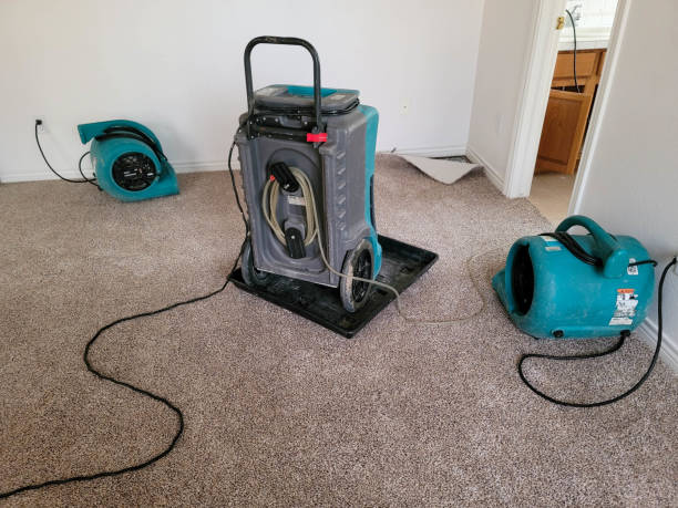 Best Ceiling water damage repair  in Celina, TN