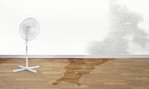 Best Flooded house restoration  in Celina, TN