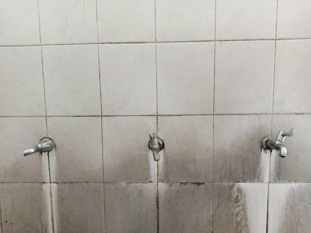 Best Carpet water damage restoration  in Celina, TN