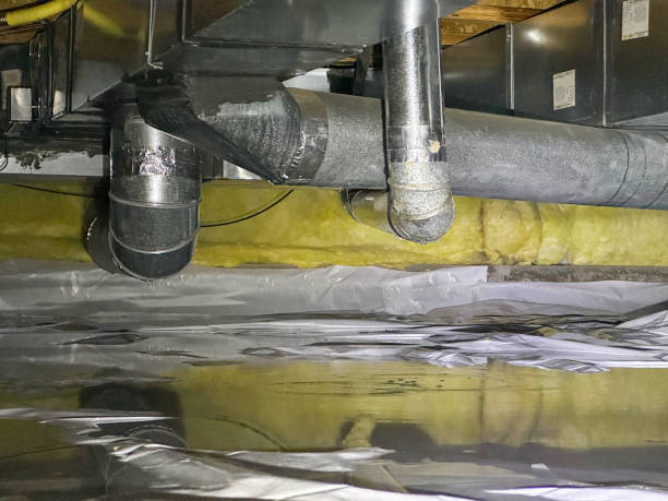 Best Flood restoration services  in Celina, TN