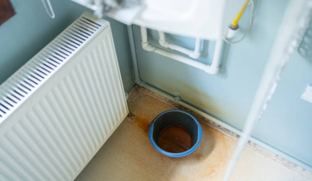 Best Basement water damage restoration  in Celina, TN