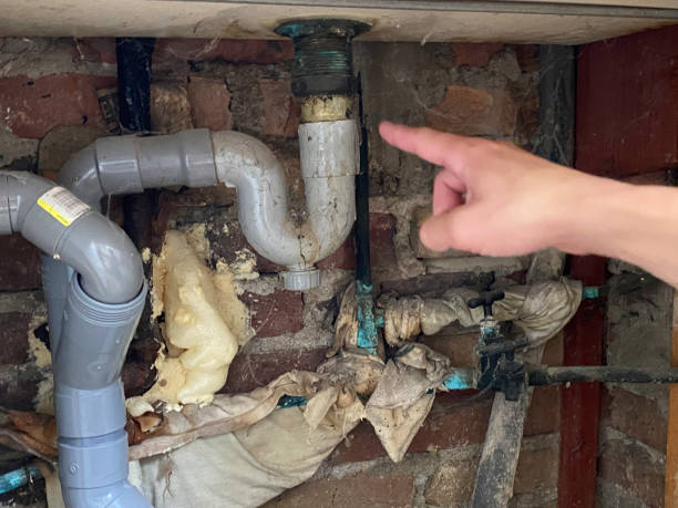Best Water damage restoration company  in Celina, TN