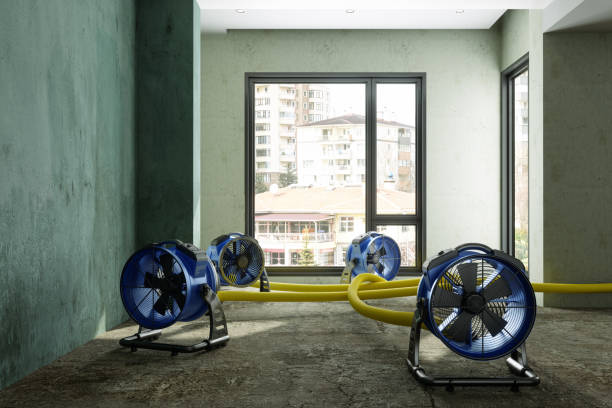Best Fire Damage Restoration  in Celina, TN